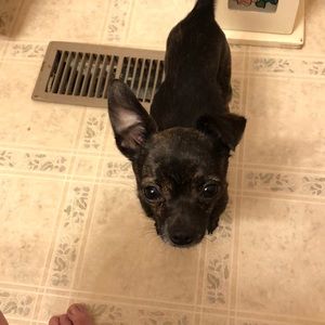 Meet your Posher, Kim